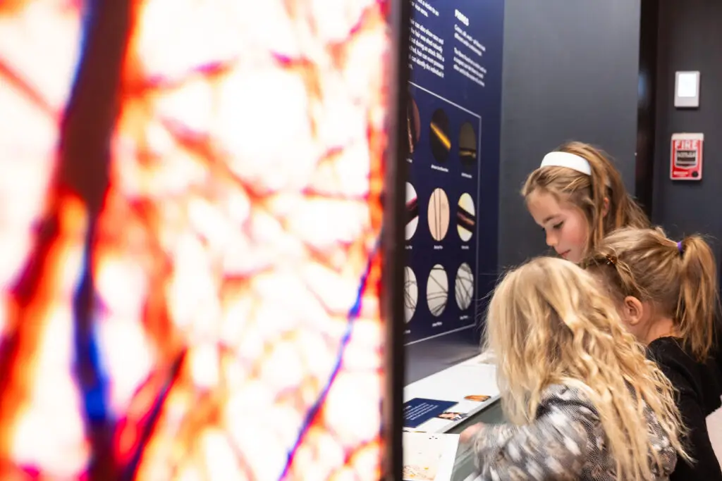 Young people exploring the Forensics Room